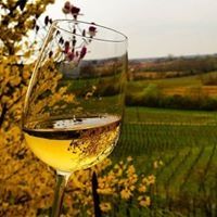 ENOGASTRONOMIA E MUSICA SUL COLLIO - DOMENICA 25 GIUGNO